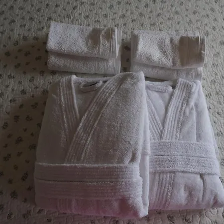 Ginestra By Interhome 公寓 Seglia San Bernardo